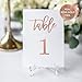 Rose Gold Wedding Table Numbers (Color Options Available), 4x6 Modern Calligraphy Foil Design, Double Sided, Numbers 1-25 (Rose Gold Foil)