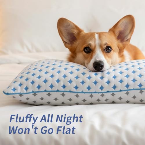 LOVELYREST Memory Foam Pillows 2 Pack – Adjustable Loft Cooling Pillows King Size Set of 2 for Sleeping, Firm, Supportive, and Breathable Design for Hot, Side, Back, and Stomach Sleepers