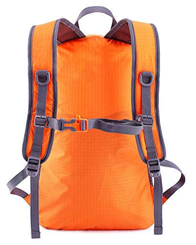 venture pal backpack