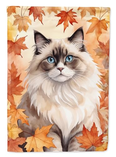 Caroline's Treasures Ragdoll Cat in Fall Leaves House Flag Large Porch Sleeve P…