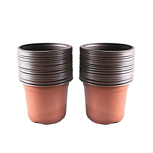 KINGLAKE 50 Pcs 6" Plastic Plants Nursery Seedlings Pot/Pots Flower Plant Container Seed Starting Pots