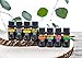 Earth Vibes Top 8 Essential Oil Set for Diffusers, 100% Pure Therapeutic Essential Oils for Relaxation & Wellness, Aromatherapy Oils Gift Set, Peppermint, Tea Tree, Lavender, Eucalyptus (8 x 10mL)