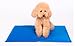 AUGYMER Dog Cooling Mat, Cool Gel Mat Chilly Gel Pad for Pet Dogs Cats Cooling Bad Mats 65*50cm