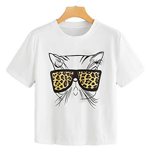Cat with leopard print sun glasess whit background