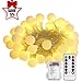 B-right Led Globe String Lights Indoor 50 LEDs Globe Fairy String Lights Battery Operated, Decorative Ball String Lights for Bedroom/Dorm Room（Warm White）