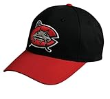MiLB Minor League ADULT CAROLINA MUDCATS Black/Red Hat Cap Adjustable Velcro TWILL 