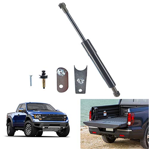 The 10 best tailgate lift assist 2015 silverado Sideror Reviews