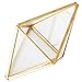 Tchan Glass Plant Terrarium Succulent Planter Prism Geometric Tabletop Brass Glass Artificial Home Decor (Gold)