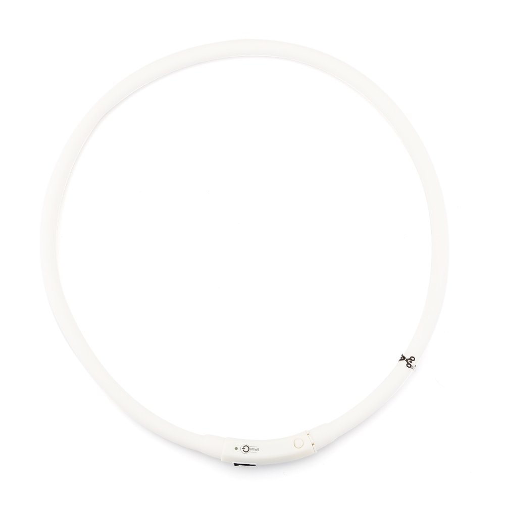 ZOGIN Collar de perro LED, collar de seguridad recargable USB para perro gato y otro animal doméstico, color blanco