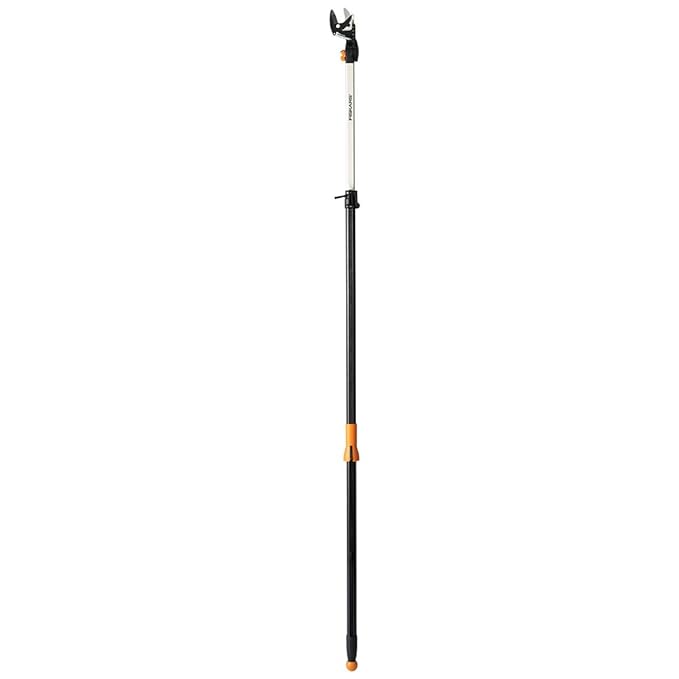 The Best Tree Pruner Of 2020 Do Not Buy Before Reading This
