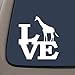 CMI NI271 Giraffe Love Decal | Premium Quality White Vinyl Decal | 5