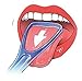Quality Cleaners Tongue Scrapers Made from Anti-Bacterial, BPA Free Plastic.Tongue Scraper Gives Fresh Breath and Better Taste, Tongue Cleaner is Best Oral Care for Halitosis. THE Tongue Cleaners!