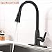 Hotis Best 1 or 3 Hole Pull Out Single Handle Single Lever Prep Stainless Steel Pull Down Sprayer Kitchen Sink Faucet, Oil Rubbed Bronze