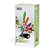 HULLR 6 Piece Ceramic Blade Multi Color Kitchen Knife Set with Acrylic Stand