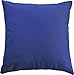 Blue Dolphin Decorative Lace Front Throw Pillow Cover 18