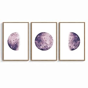 signwin 3 Piece Framed Canvas Wall Art Moon...