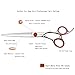 Professional Hair Scissors/Shears 5.5