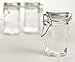 Set of 12 Small Glass Jars with Glass Lids and Metal Bails