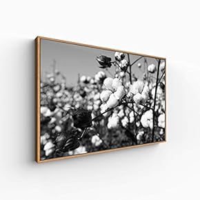 Canvas Wall Art for Living Room, Bedroom Monochrome Plants Framed Canvas Prints for Home Decoration Ready to Hang - 16x24 inches