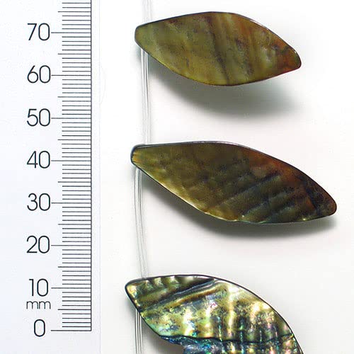 Expo International 6 Packs of Tinted Shell Leaf Olive 2x8 Strand | Natural Jewe…