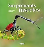 Surprenants insectes by