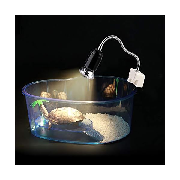 GOLDGE Tartaruga Illuminazione, 25W Basking Lampada Alogena Calore Retroilluminazione UVA UVB per Rettile Lucertola… GOLDGE GOLDGE Tartaruga Illuminazione, 25W Basking Lampada Alogena Calore Retroilluminazione UVA UVB per Rettile Lucertola…