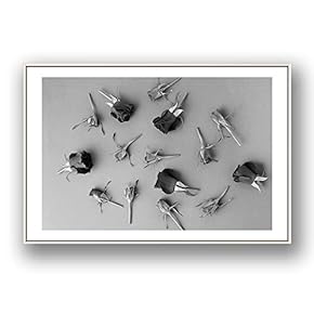 Framed Canvas Wall Art for Living Room,...