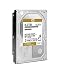 WD Gold 6TB Enterprise Class Hard Disk Drive - 7200 RPM Class SATA 6 Gb/s 128MB Cache 3.5 Inch - WD6002FRYZ primary
