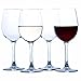 Elegant Plastic Wine Glasses by Savona | Unbreakable Wine Glasses | Ideal for Indoor/Outdoor Use | 100% Tritan Shatterproof Wine Glasses | Set of 4)