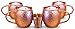 Willow & Everett Set of 4 Moscow Mule Copper Mugs with Shot Glass - 16oz Solid Hammered Cups for Moscow Mules