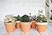 My Urban Crafts 16 Pcs Small Terracotta Pots 2.5 x 3 inch Mini Flower Clay Pots with Drainage Hole Ceramic Pottery Terra Cotta Planter for Succulents and Cactus, Wedding Favors and Baby Shower Favors