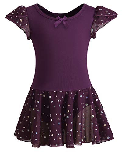DANSHOW Girls Glitter Leotards for Ballet Dance Dress with Tutu Skirt Petal Sleeve(4040-XL-09B)