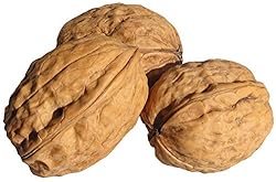 In Shell Walnuts (4 Lbs.) - Jumbo Natural