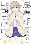 思春期ちゃんのしつけかた 第12巻