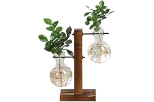 WDDH Water Planting Glass Vase,Clear Glass Vase Hanging Plant Terrarium with Retro Solid Wooden Stand for Hydroponics Plants Home Garden