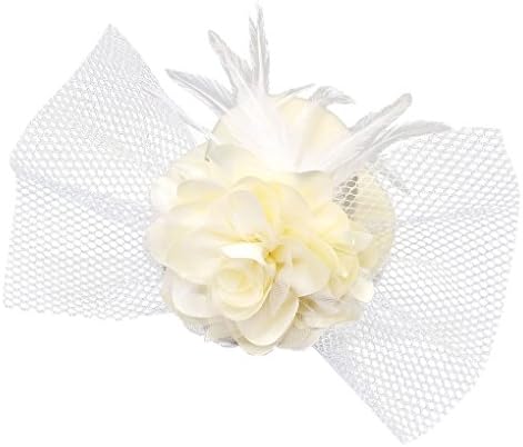 Coolr Women's Fascinator Flower Hair Clip Feather Burlesque Punk Mini Hat