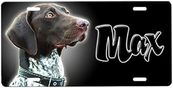 no jump harness for large dogs