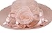 Dantiya Womens Organza Wide Brim Floral Feather Ribbon Kentucky Derby Church Dress Sun Hat, Flesh Pink Free