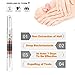 Fungus Stop, Fungus Treatment, Anti-Fungal Nail Solution for Toenails & Fingernails Fungus Treatment, Effective Against Nail Fungus, Repair and Protect Nails, 4 Pcs