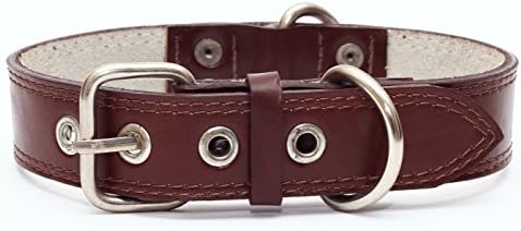 Premium Leather Collars with Stainless Steel Buckles (15"-18", Chocolate)
