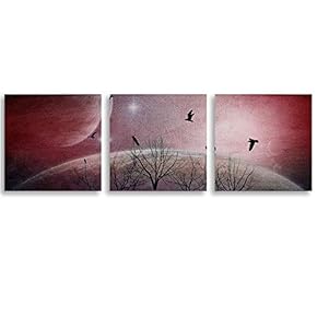 3 Piece Canvas Wall Art Brids Painting Artwork for Home Prints Framed - 12"x12"x3 Panels