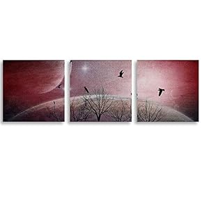 3 Piece Canvas Wall Art Brids Painting...