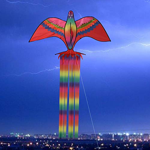 image for ZS-Juyi Beginner Phoenix Kites 86x 57Inch for Kids and Adults Bird Kit
