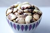 Florida Butter Speckled Lima Bean 25 Seeds - Butterbean