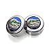 NCAA University of Florida Gators License Plate, Frame Chrome Screw Covers