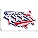 NFL Super Bowl XXXVI 2001 Style-36 Embroidered Sew On Patch