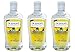 Dickinsons Original Witch Hazel Pore Perfecting Toner 16 fl. oz. (Pack of 3)