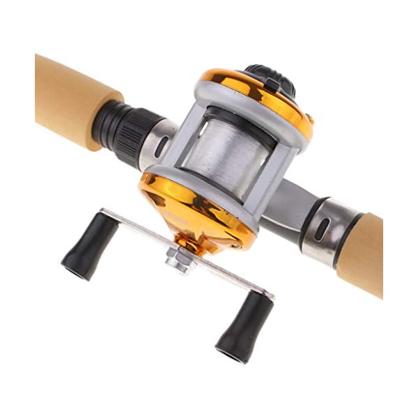 Perfeclan Packung mit 2 Micro Telescopic Ice Angelrute mit Baitcasting Reel Travel Rod 75cm – Bild 6