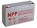 NPP NP6-10Ah F1, 6V 10Ah Battery, Rechargeable Sealed Lead Acid 6V 10Ah Battery Scooter Replaces Enduring 6FM10, NP10-6, KMG-10-6 (F1 Terminal)