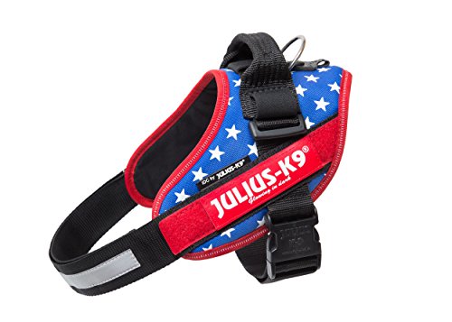 Julius-K9 IDC-Power Harness with Illuminated Velcro Patches, Ameri-Canis, Size: 0/58-76 cm/23-30